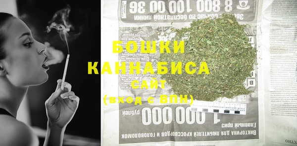 spice Осинники
