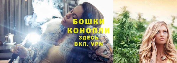 spice Осинники