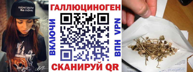 мега зеркало  купить  цена  Борисоглебск  Галлюциногенные грибы Cubensis 