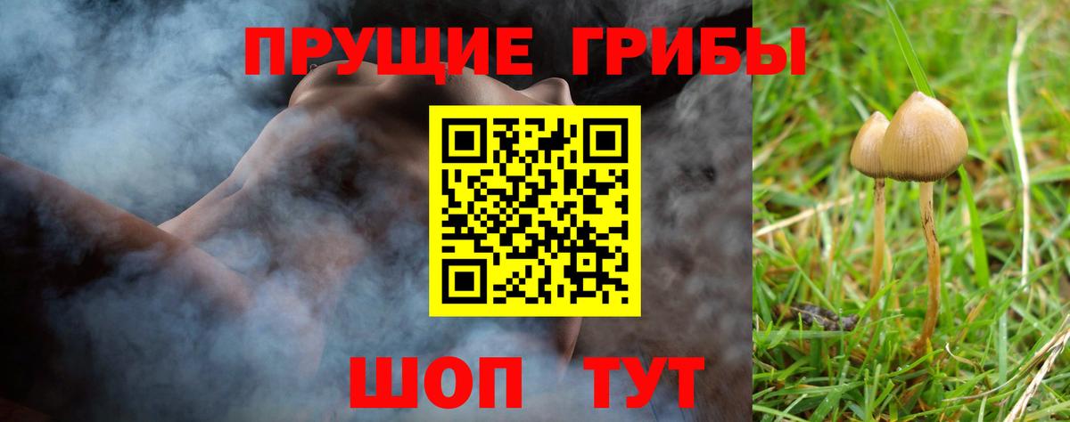 где найти наркотики  Борисоглебск  Галлюциногенные грибы MAGIC MUSHROOMS 